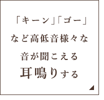 「キーン」「ゴー」など高低音様々な音が聞こえる 耳鳴りする