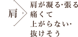 肩が凝る・張る 痛くて上がらない・ 抜けそう