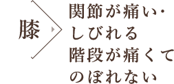 関節が痛い・しびれる 階段が痛くて のぼれない