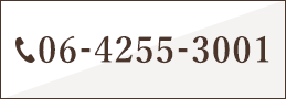 06-4255-3001